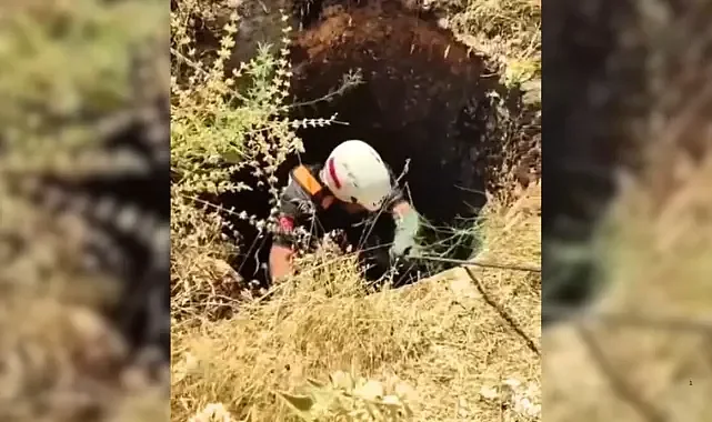 İşte o anlar: Şanlıurfa'da 15 metrelik kuyuya düşen koyun itfaiye tarafından kurtarıldı!