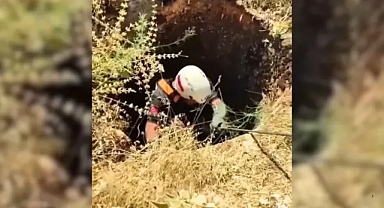 İşte o anlar: Şanlıurfa'da 15 metrelik kuyuya düşen koyun itfaiye tarafından kurtarıldı!