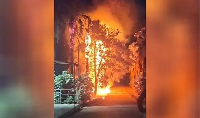 Şanlıurfa'da Araştırma İstasyonunda yangın!