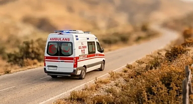 Şanlıurfa'da genç kız hastanelik oldu