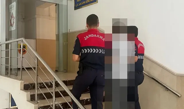 Şanlıurfa'da hırsızlık suçundan aranan hükümlü yakalandı