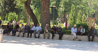 Şanlıurfa'da kavurucu sıcaklar etkisini artırdı: Yaşlılar Balıklıgöl'ün gölgesine sığındı