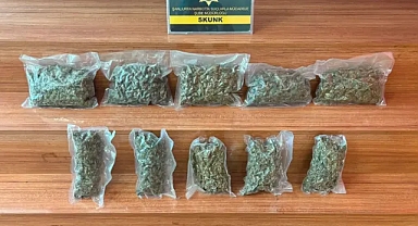 Şanlıurfa'da narkotik operasyonu: 2 kilo 600 gram ele geçirildi