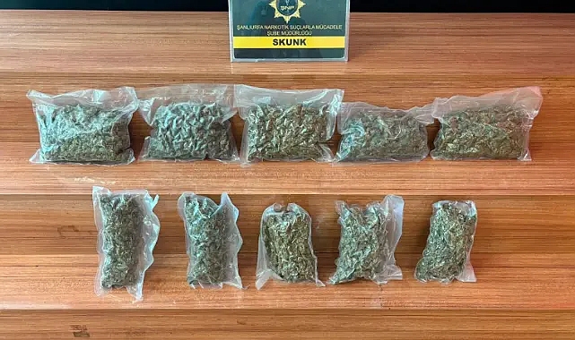 Şanlıurfa'da narkotik operasyonu: 2 kilo 600 gram ele geçirildi