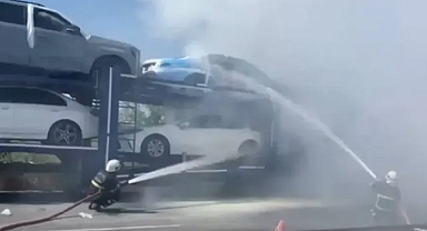 Şanlıurfa’da otomobil yüklü TIR alev aldı!