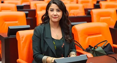 Şanlıurfa'da Yoğun Bakım Yetersizliği İddiası Meclis'e Taşındı