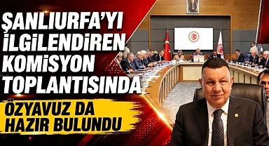 Şanlıurfa’daki Okul Olayları İçin Meclis’te Kritik Oturum