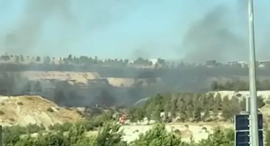 Şanlıurfa GAP Vadisi'nde korkutan yangın! Ekiplerin müdahalesi sürüyor