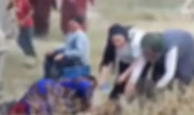 Şanlıurfalı tarım işçilerini taşıyan servis Konya'da devrildi: Çok sayıda yaralı var