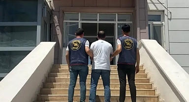 Suruç'ta hırsızlıktan aranan hükümlü yakalandı