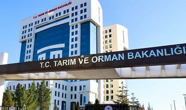 Tarım ve Orman Bakanlığı 1.874 sözleşmeli personel alacak! Kadro dağılımı belli oldu