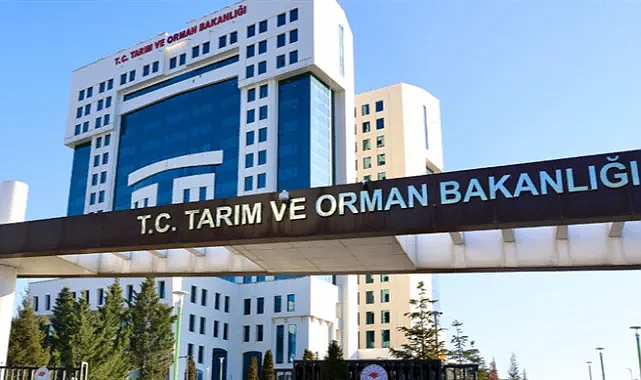 Tarım ve Orman Bakanlığı 1.874 sözleşmeli personel alacak! Kadro dağılımı belli oldu