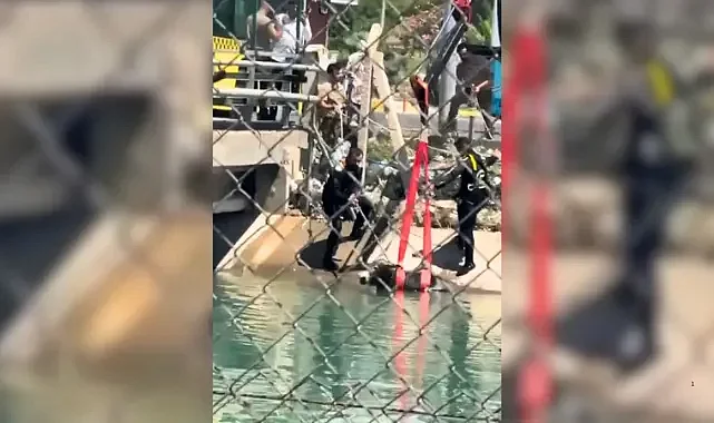 Urfa'da eşek seferberliği! Zamanla yarıştılar
