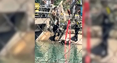 Urfa'da eşek seferberliği! Zamanla yarıştılar
