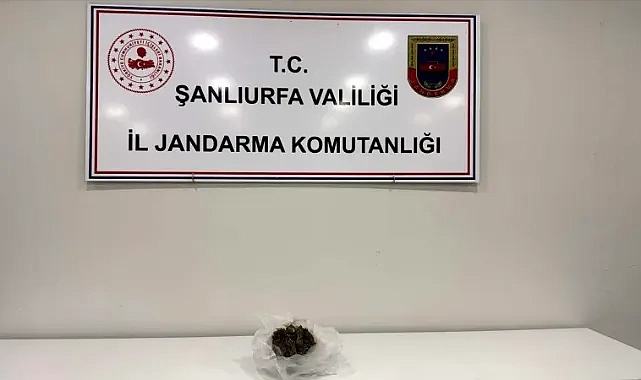 Viranşehir'de jandarmadan uyuşturucu operasyonu: Esrar ele geçirildi